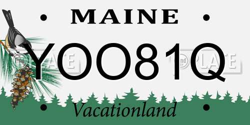 YOO81Q Maine License Plate