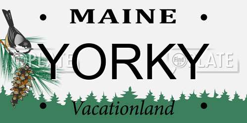 YORKY Maine License Plate