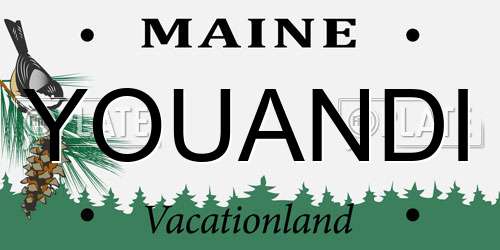 YOUANDI Maine License Plate