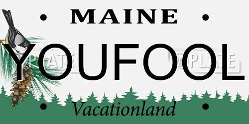 YOUFOOL Maine License Plate