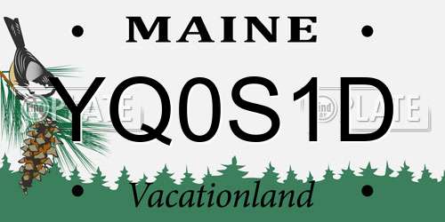YQ0S1D Maine License Plate