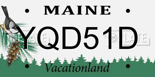 YQD51D Maine License Plate