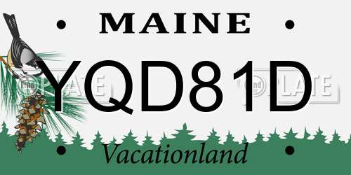 YQD81D Maine License Plate