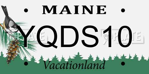 YQDS10 Maine License Plate