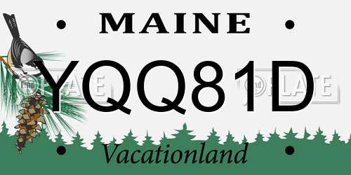 YQQ81D Maine License Plate