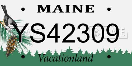 YS42309 Maine License Plate