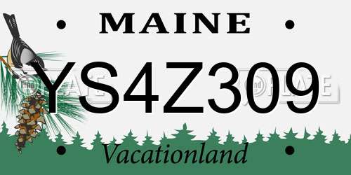 YS4Z309 Maine License Plate