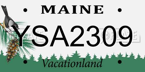 YSA2309 Maine License Plate