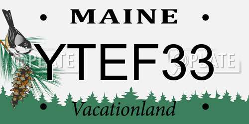 YTEF33 Maine License Plate