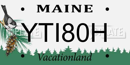 YTI80H Maine License Plate