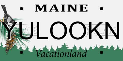 YULOOKN Maine License Plate
