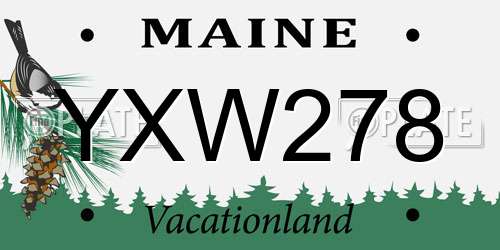 YXW278 Maine License Plate