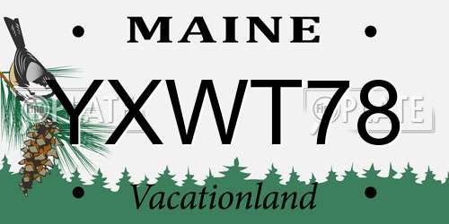YXWT78 Maine License Plate