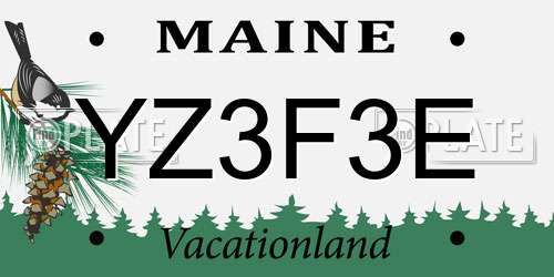 YZ3F3E Maine License Plate