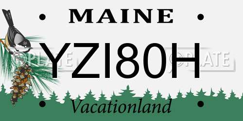 YZI80H Maine License Plate
