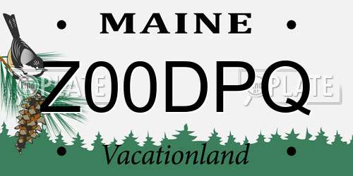 Z00DPQ Maine License Plate