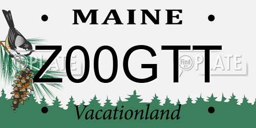 Z00GTT Maine License Plate