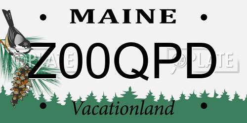 Z00QPD Maine License Plate
