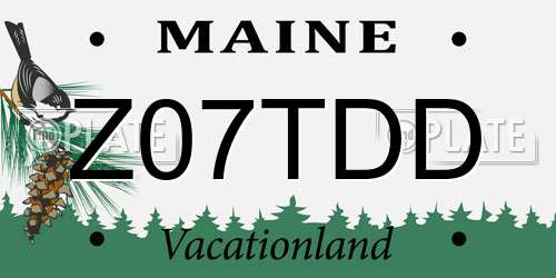 Z07TDD Maine License Plate