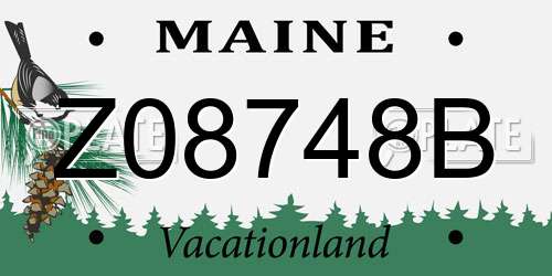 Z08748B Maine License Plate