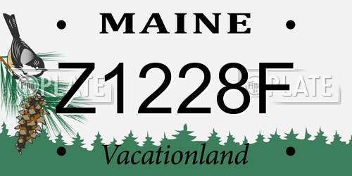 Z1228F Maine License Plate