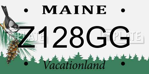 Z128GG Maine License Plate