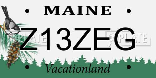 Z13ZEG Maine License Plate