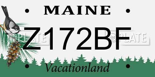 Z172BF Maine License Plate