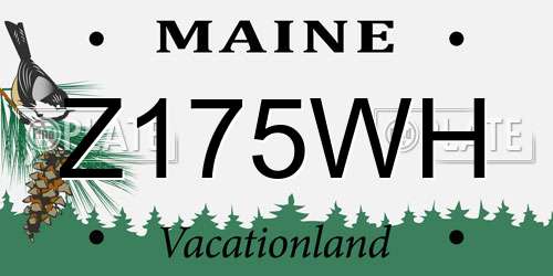 Z175WH Maine License Plate