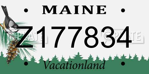 Z177834 Maine License Plate