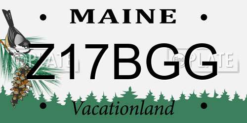 Z17BGG Maine License Plate