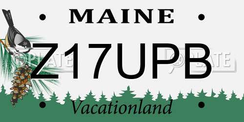 Z17UPB Maine License Plate