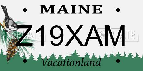 Z19XAM Maine License Plate