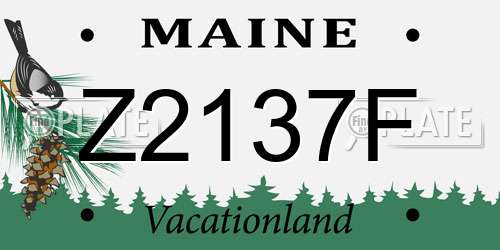 Z2137F Maine License Plate