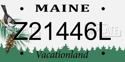 Z21446L Maine License Plate