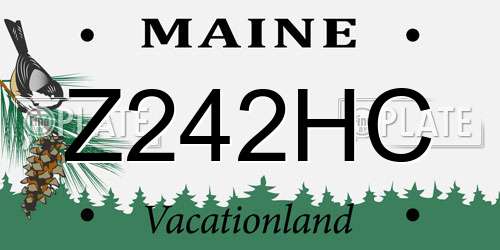 Z242HC Maine License Plate