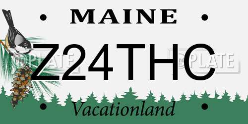 Z24THC Maine License Plate