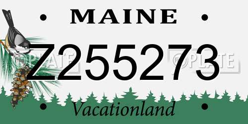 Z255273 Maine License Plate