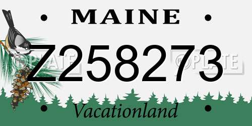 Z258273 Maine License Plate