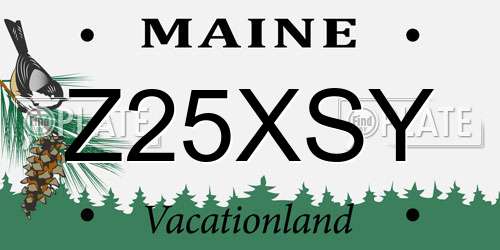 Z25XSY Maine License Plate