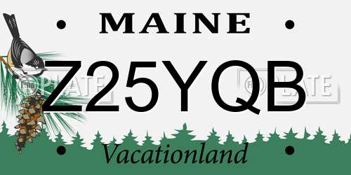 Z25YQB Maine License Plate