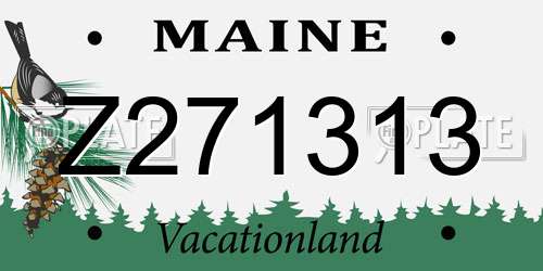 Z271313 Maine License Plate