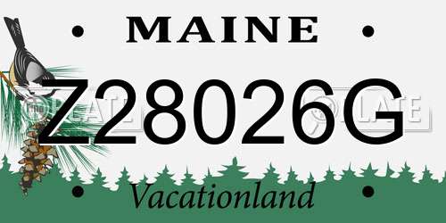 Z28026G Maine License Plate