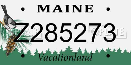 Z285273 Maine License Plate
