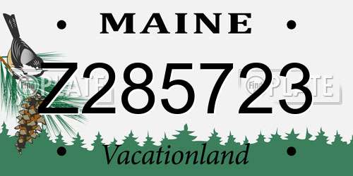 Z285723 Maine License Plate