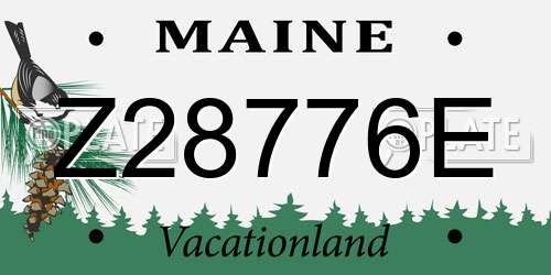Z28776E Maine License Plate