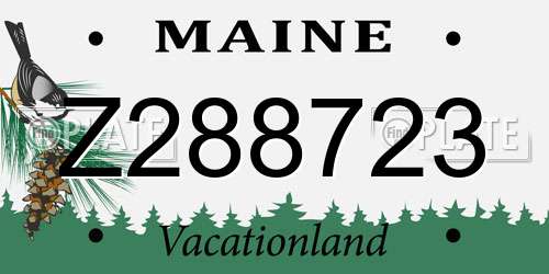 Z288723 Maine License Plate