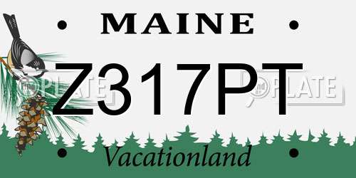 Z317PT Maine License Plate