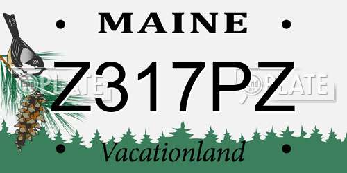 Z317PZ Maine License Plate