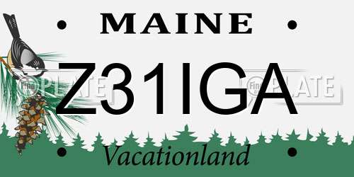 Z31IGA Maine License Plate